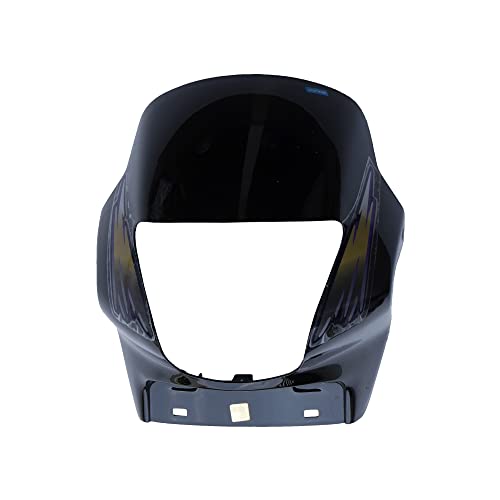 N511A Head Light Mask - Pass O/M G.Bk[Bk-Golden]