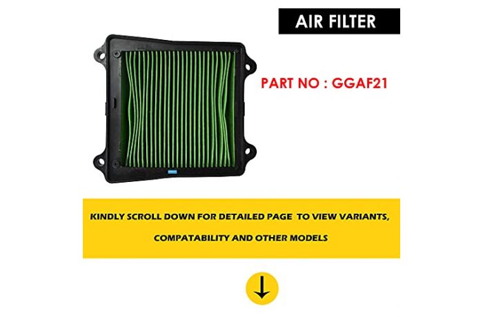 Pulsar rs 200 2024 air filter price