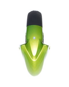 Nikavi N882F Front Mudguard Compatible for Yamaha Fz Green