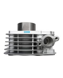 NIKAVI CBKP42 Cyliner Block Kit Compatible for TVS N-Torq BS4